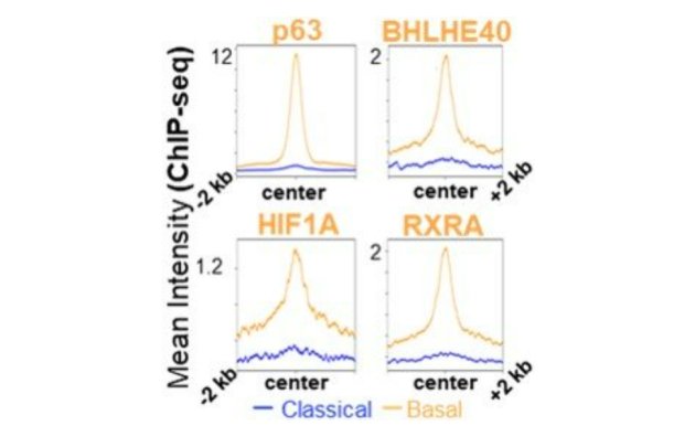 Fig_2 Colocalization of transcription factors in basal PDAC.