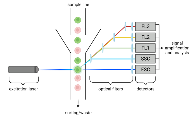 Principle of FC