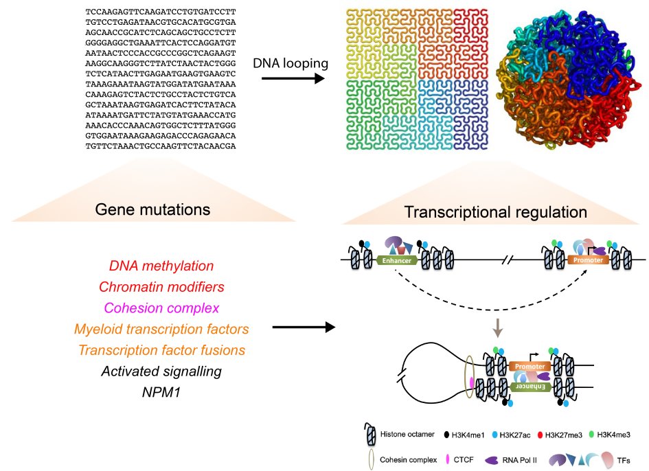 Gene mutations